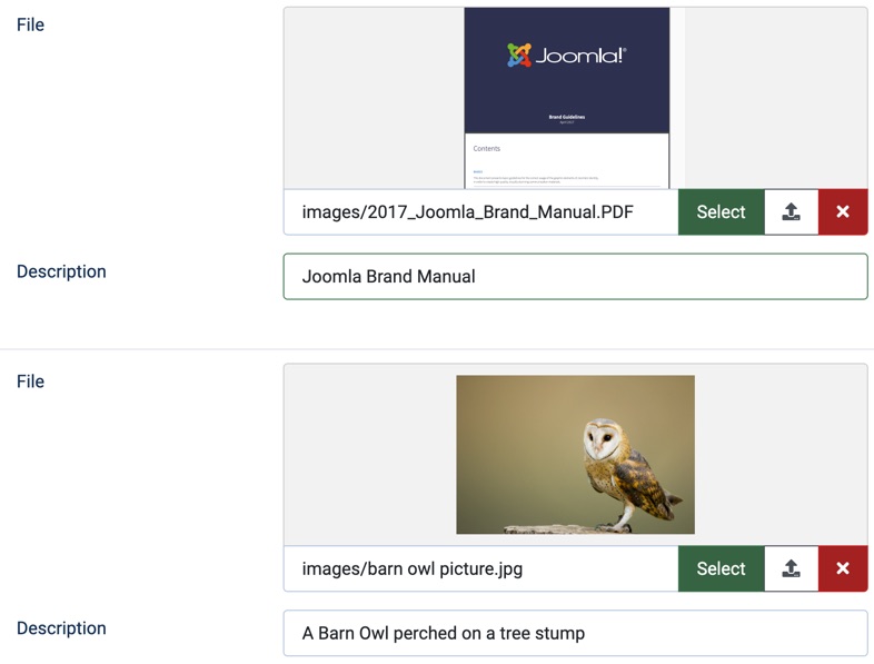 JCE Media Field Description text field examples