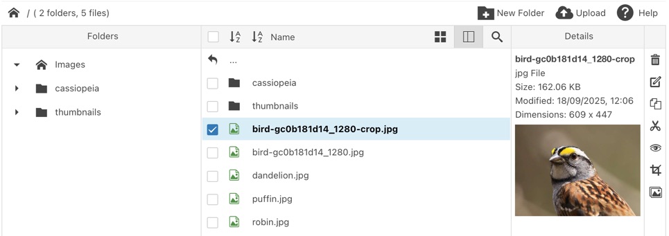 Folder tree showing the custom label “Images” instead of the default “Home”