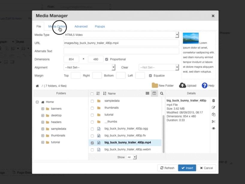 https://cdn.joomlacontenteditor.net/tmp/93911-fil-to-insert-video-poster-image-in-media-manager.gif