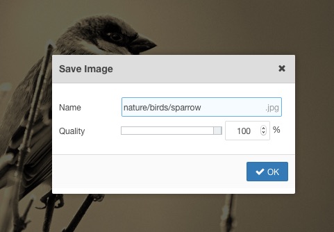 https://cdn.joomlacontenteditor.net/tmp/95167-image-edit-issue-action-resize-failed-temp-image-could-not-be-loaded-3.jpg