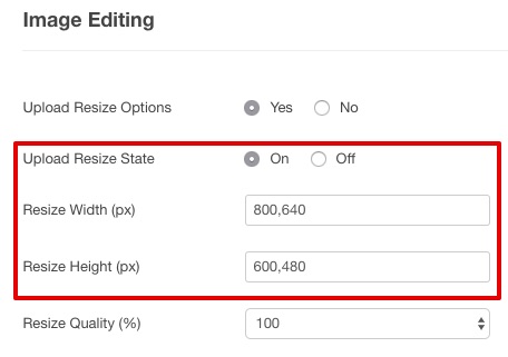 https://cdn.joomlacontenteditor.net/tmp/96945-how-to-have-x-resize-already-ticked-when-opening-the-download-window.jpg